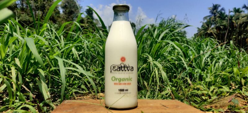 Sattva A2 Milk - 1000ML - Sattva Super Foods